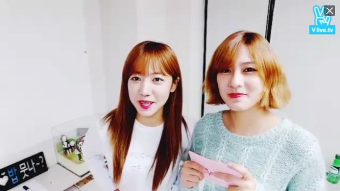 에이다트 이미지