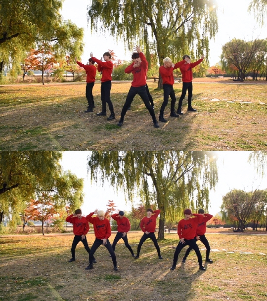 햇살퍼포먼스 이미지