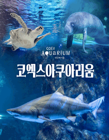 COEX水族館家庭票 COEX水族館家庭票