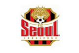 2013 FC¼¿ï ½ÃÁðƼÄÏ - Á¼®ÁöÁ¤