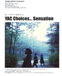 YAC Choices Sensation 포스터