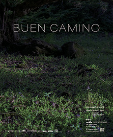 �ο� ī�̳�(Buen Camino)