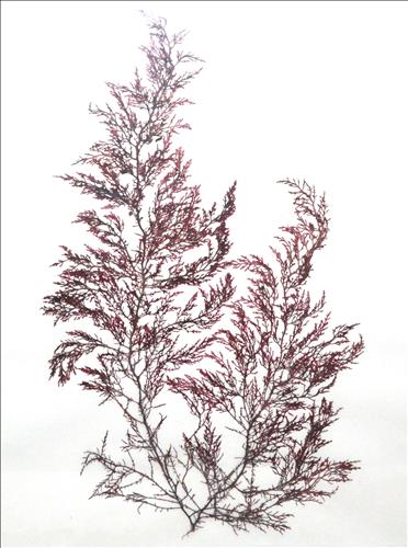 32수산 이미지