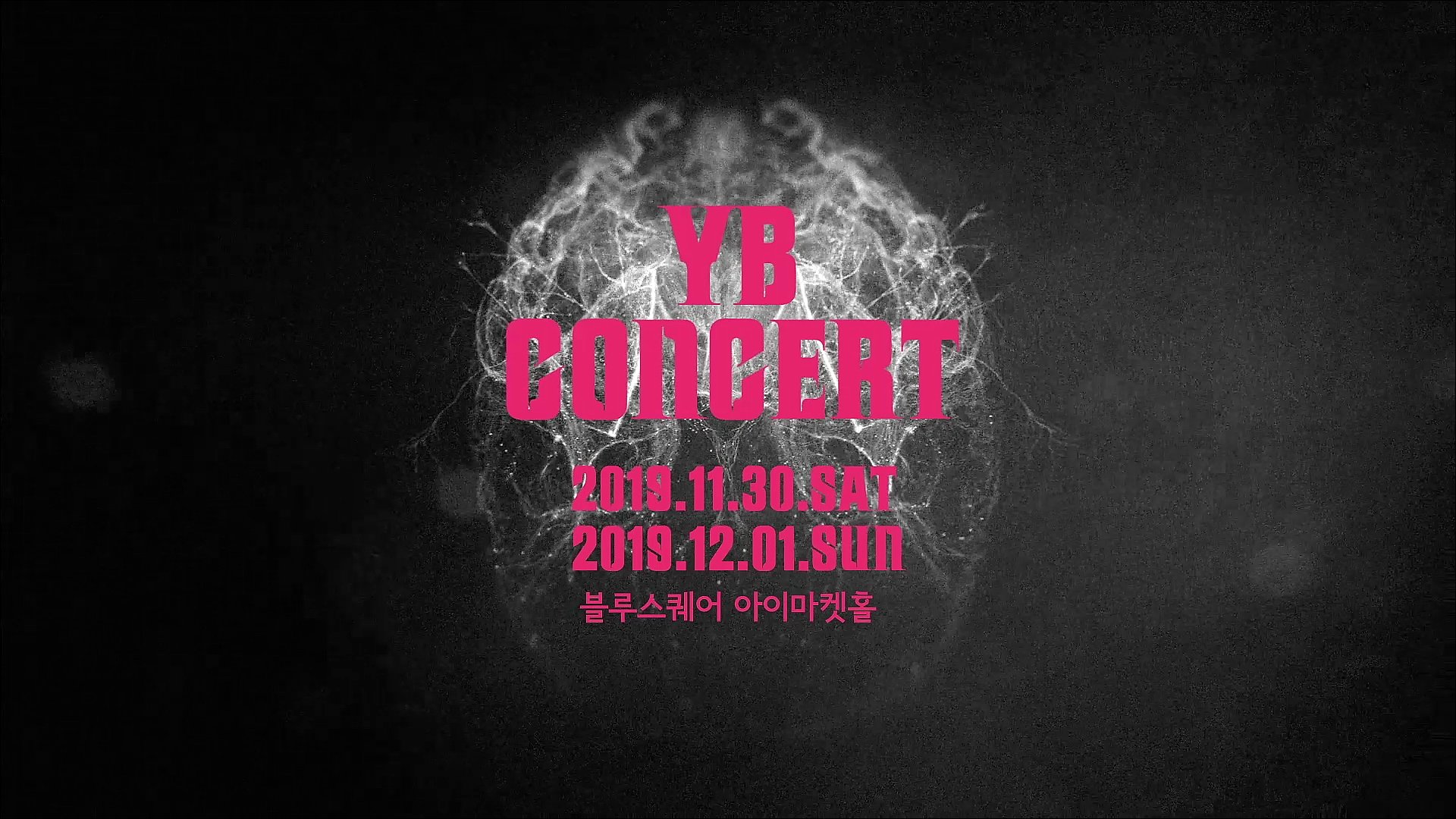 YB 콘서트