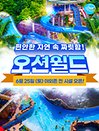 ［강원 홍천］비발디파크 오션월드 하이시즌 얼리버드 종일권