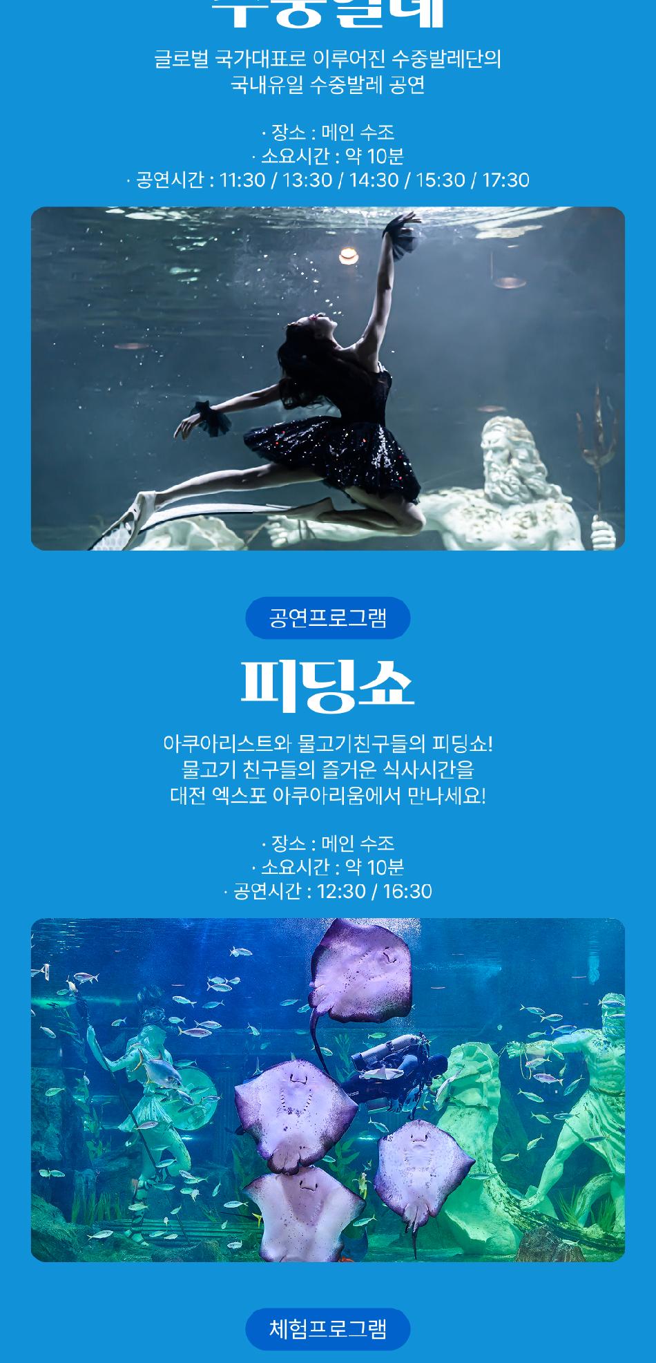 Y5000249_14.jpg