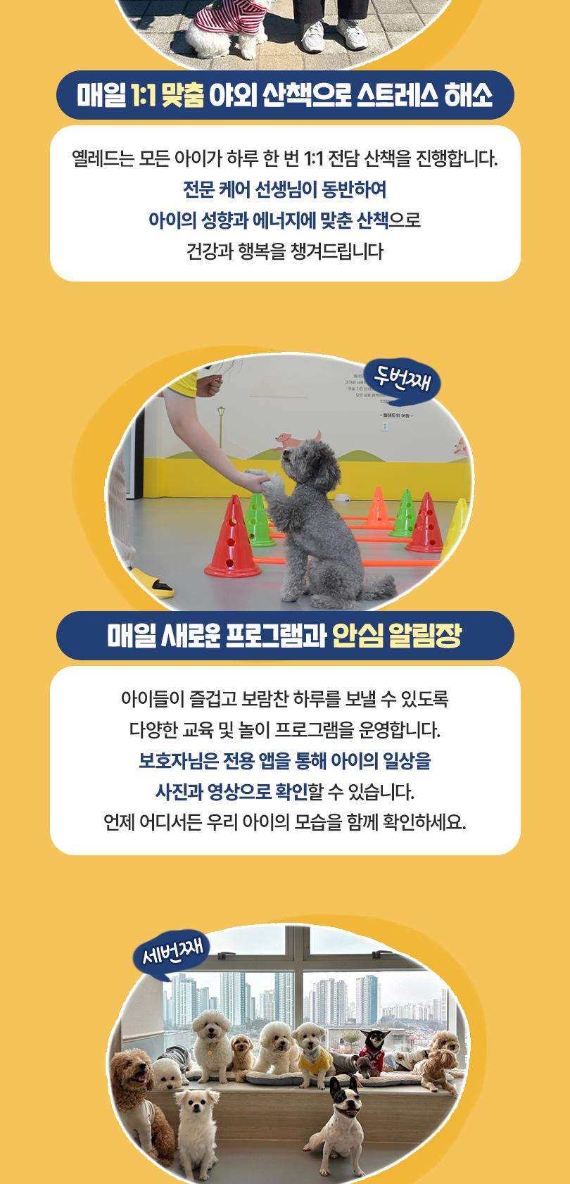 아이들은 숙제를 한다, 숙제, 숙제 해, 개학기 PNG 일러스트 및 PSD 이미지 무료 다운로드 - Pngtree, image size:810x1682