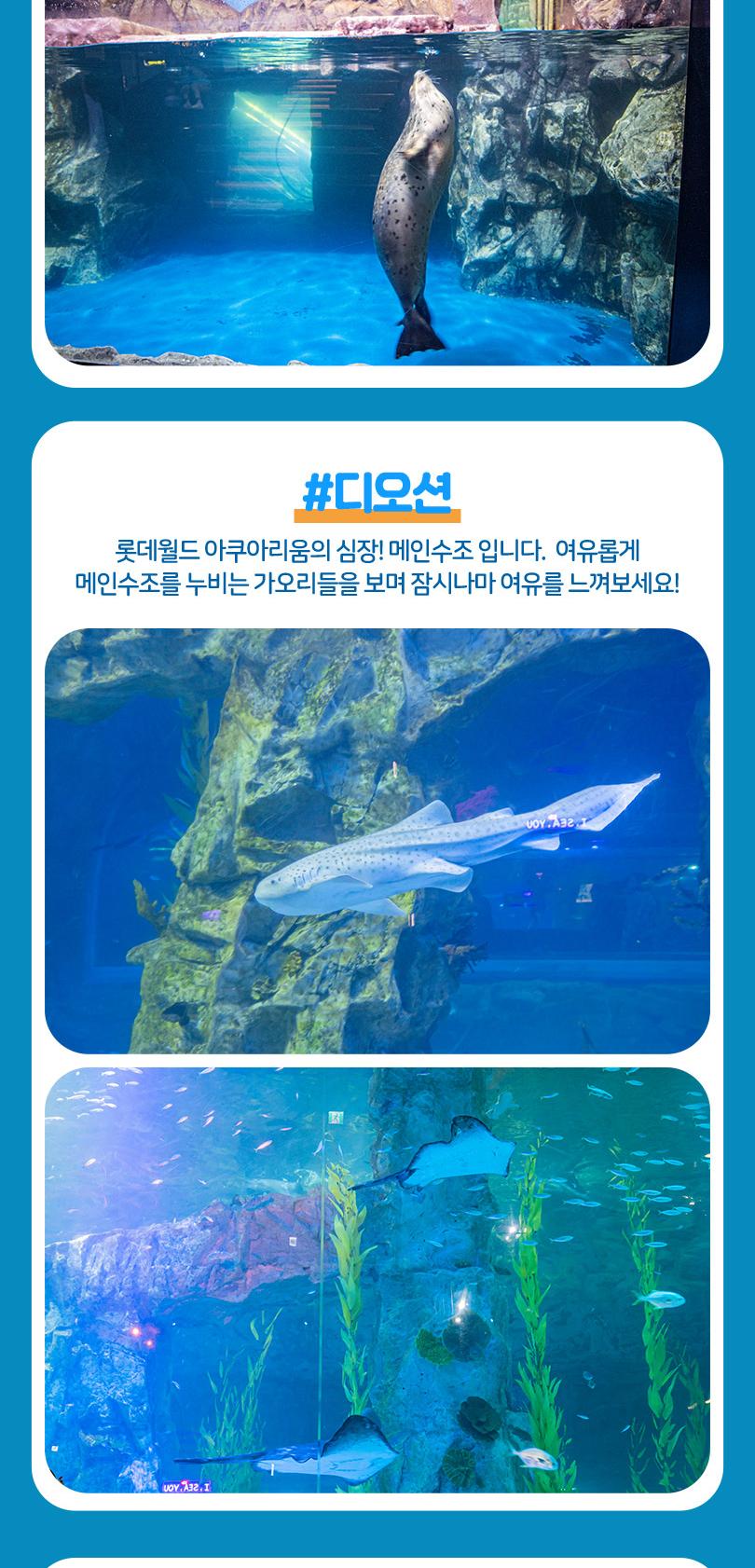 Y6000817_13.jpg