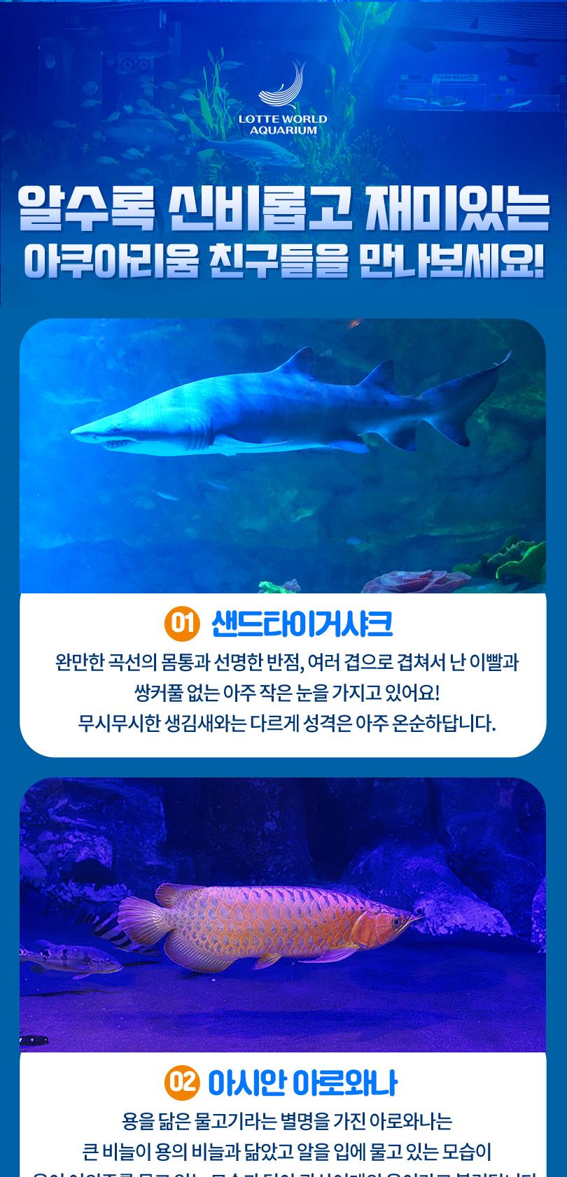Y6000819_7.jpg