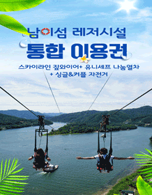 南怡島ジップワイヤー（ジップライン）統合利用券