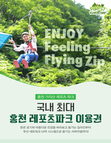 韩国最大的洪川休闲运动公园门票(森林冒险)