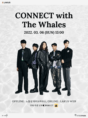 Connect with The Whales