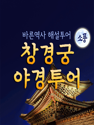 ［소풍］ 창경궁 야경투어