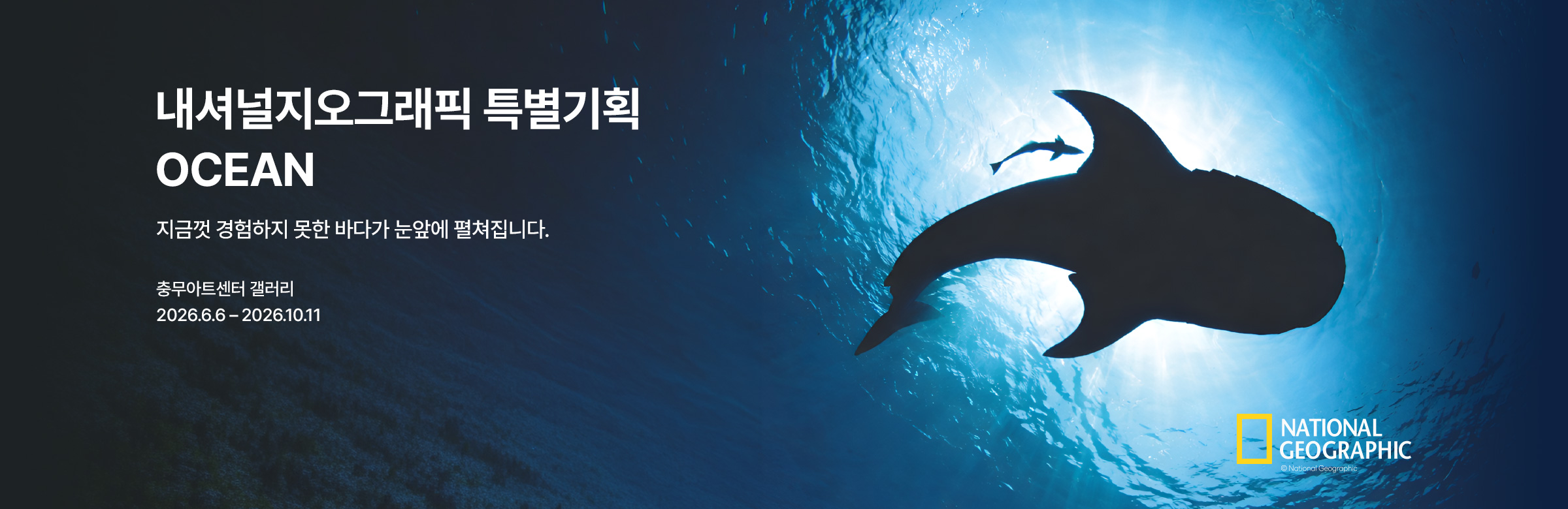 ［슈퍼 얼리버드 50%］ 내셔널지오그래픽 특별기획 OCEAN 가장 거대한 기록